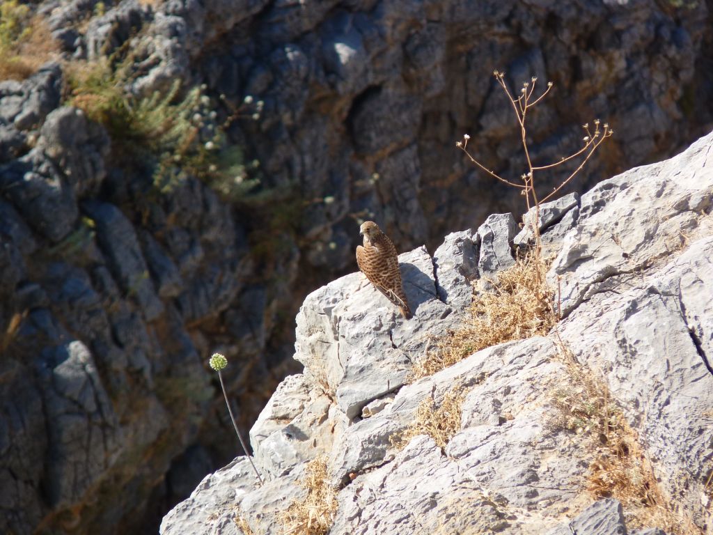Osservazioni in vacanza